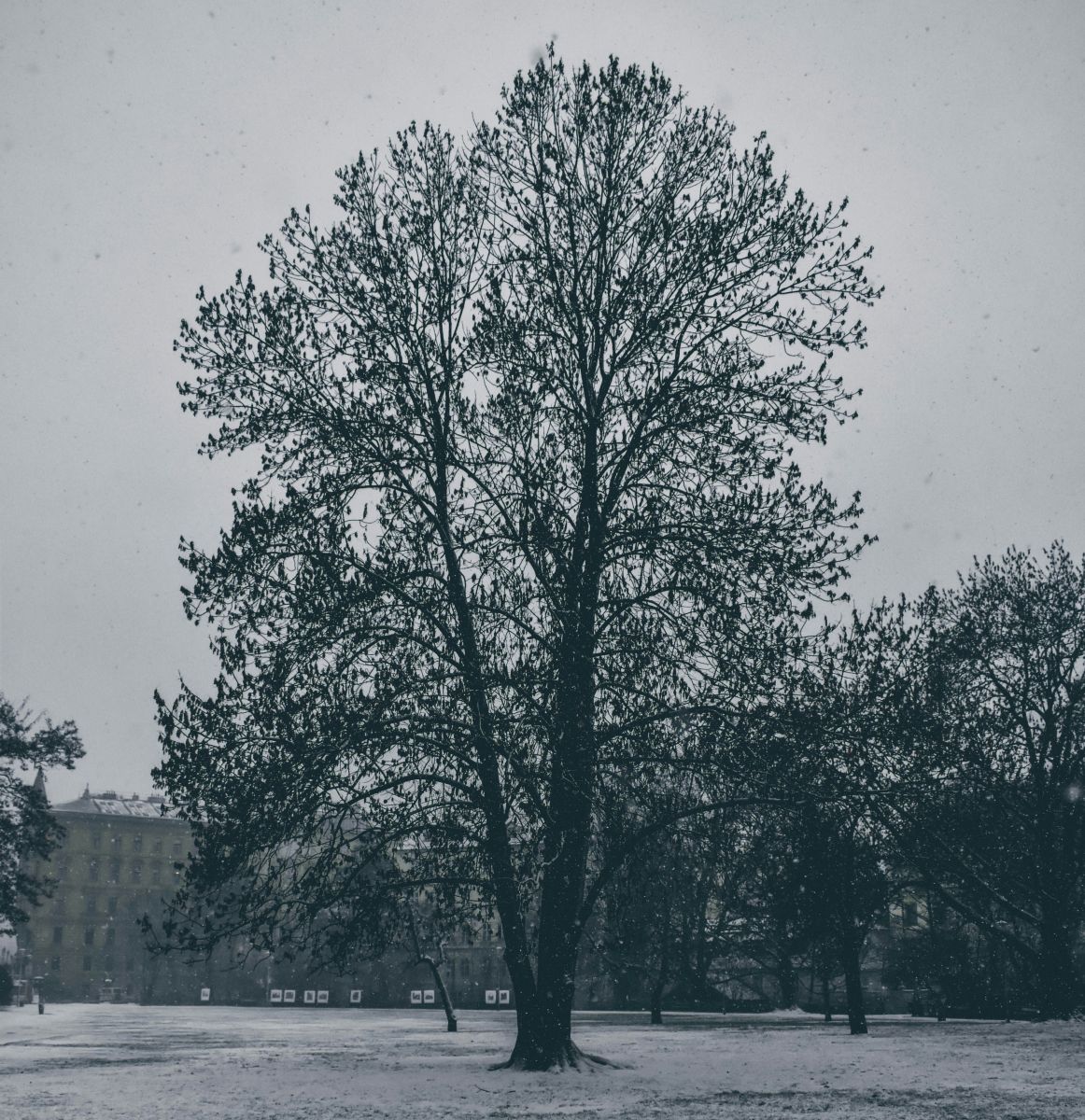 Mimoriadne až extrémne vysoké denné a dvojdenné úhrny atmosférických zrážok na Slovensku v novembri 2025.