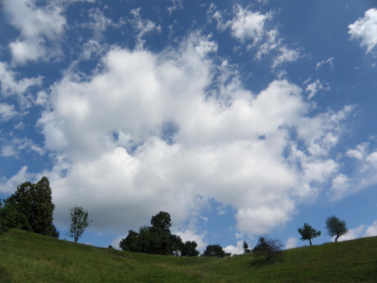 Výhľad počasia na august 2013