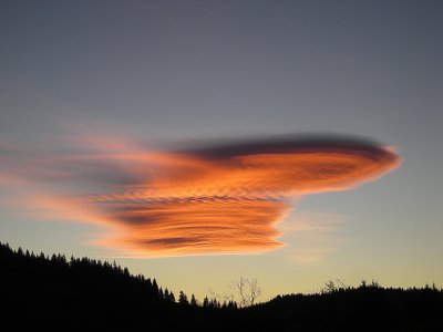 DSCN6061_1.jpg