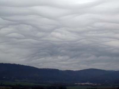 Halič, foto Andrej Vašek