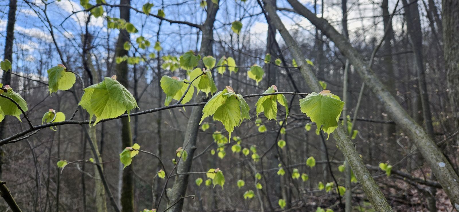 Zhodnotenie mesiaca marec 2024