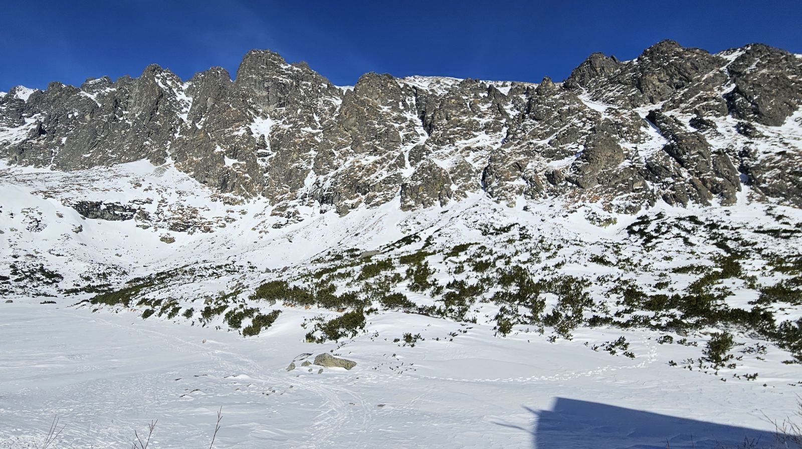 Mimoriadne vysoké teploty vzduchu na rozhraní februára a marca 