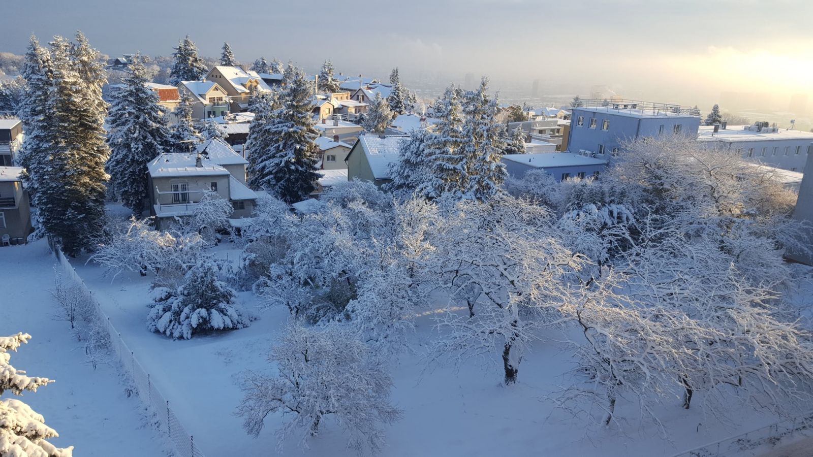 Pradepodobnosť výskytu snehovej pokrývky na Slovensku 24. decembra