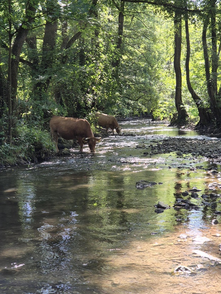 Hodnotenie hydrologickej situácie v mesiaci september 2026 
