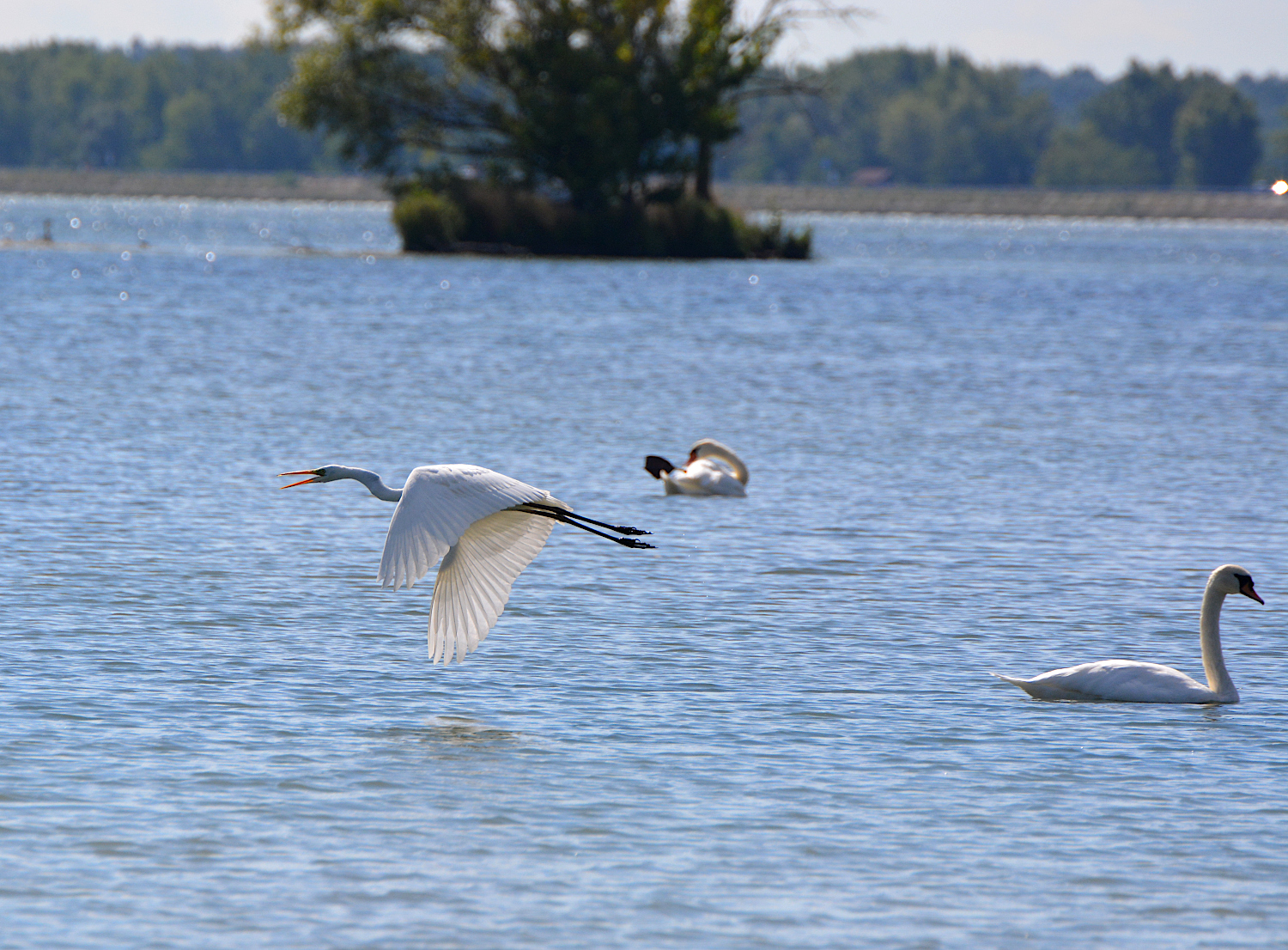 Hodnotenie hydrologickej situácie v mesiaci september 2022