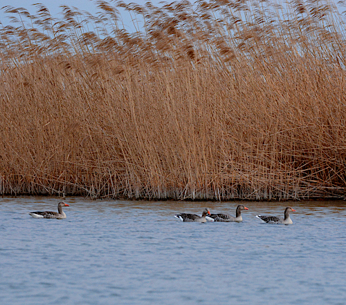 Hodnotenie hydrologickej situácie v mesiaci apríl 2022