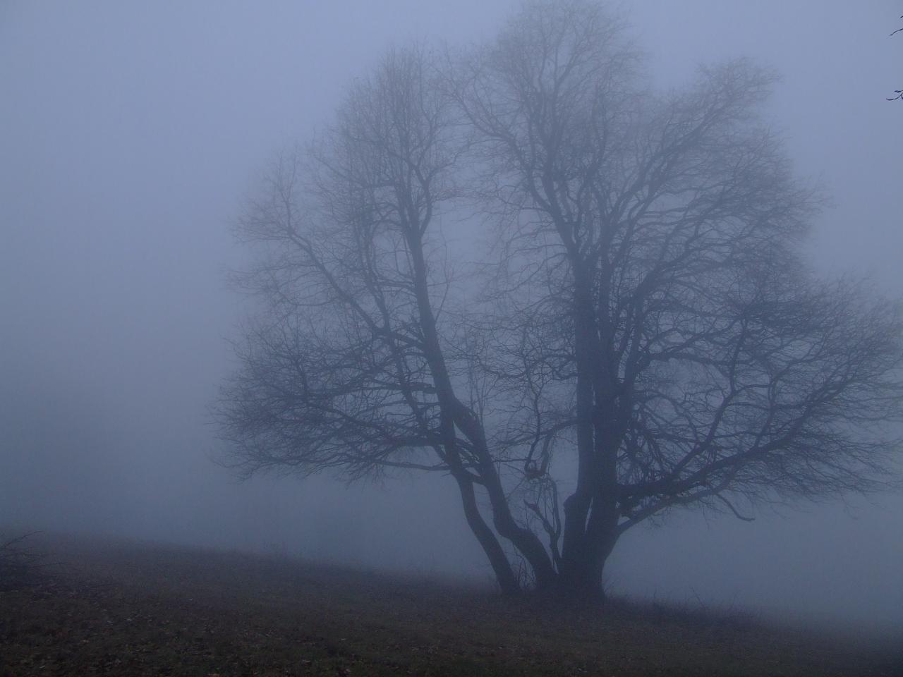 Teplo v decembri pokračuje