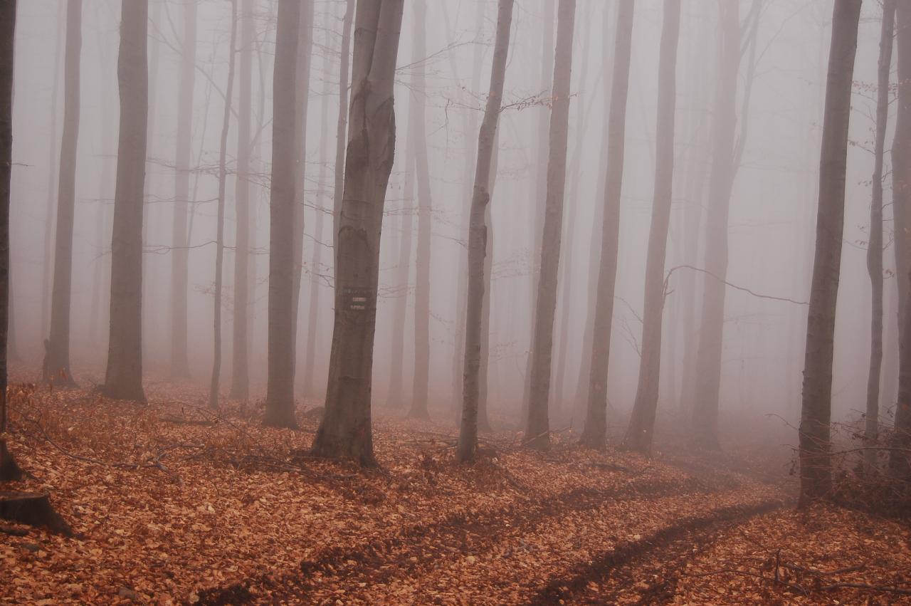 Spiš z predpovedí počasia SHMÚ určite nezmizol
