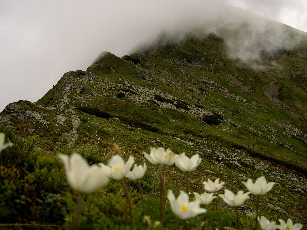 Na končiaroch Tatier napadne sneh