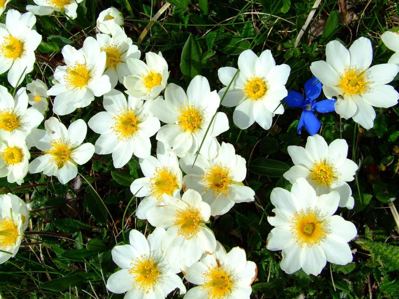 Vo štvrtok (18.4.2013) bolo najteplejšie v Žihárci, 25,5 °C