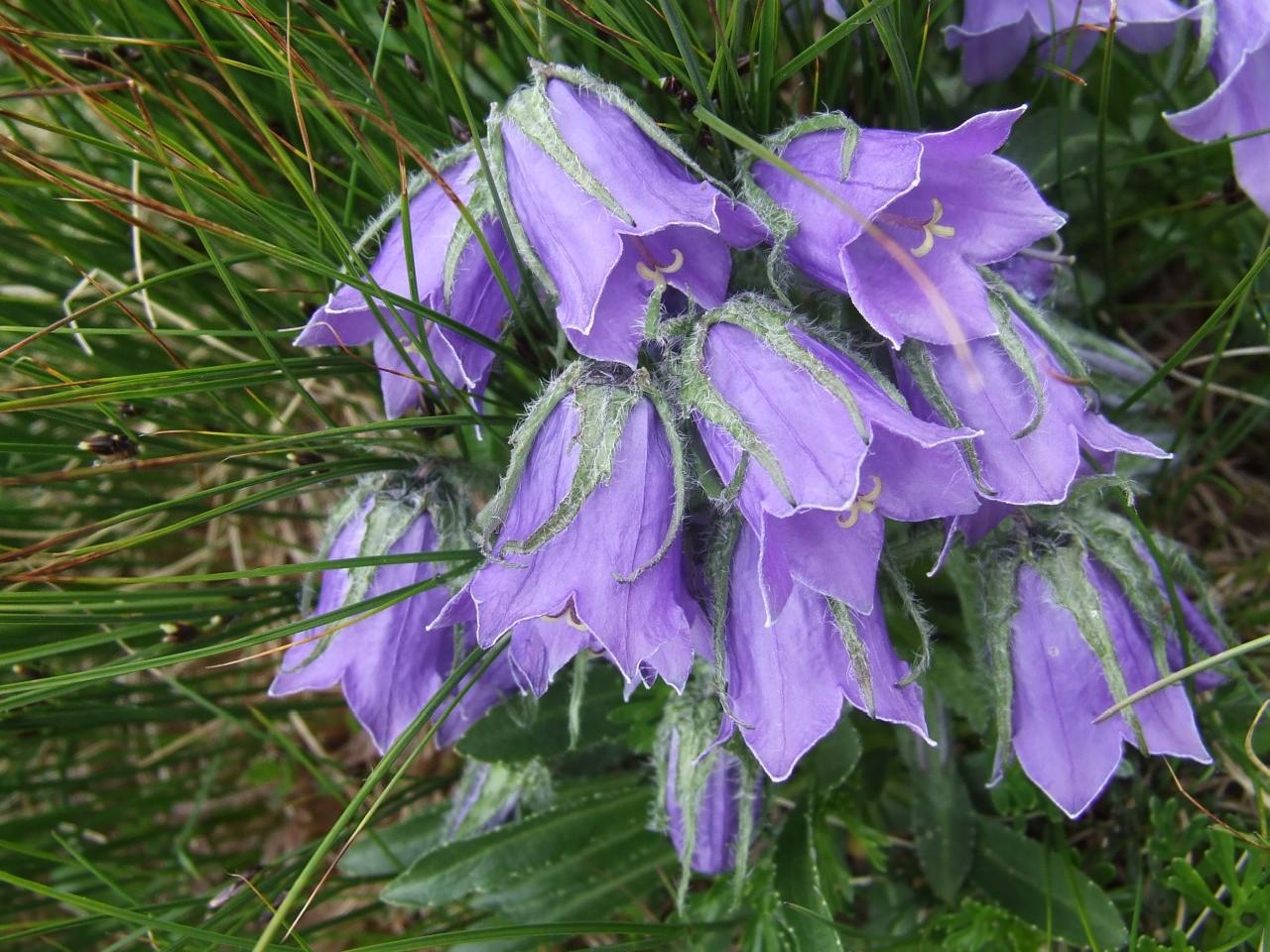 Čakajú nás cez víkend rekordy?