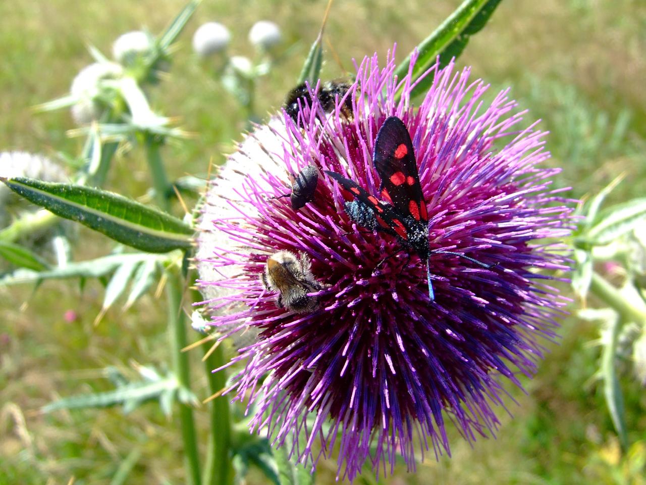 Výhľad počasia na apríl 2013