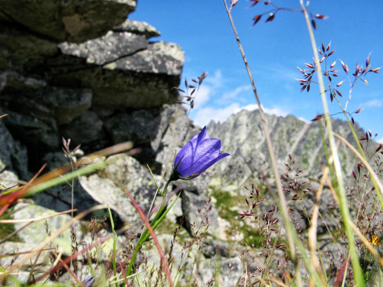 Studený začiatok, tropický záver
