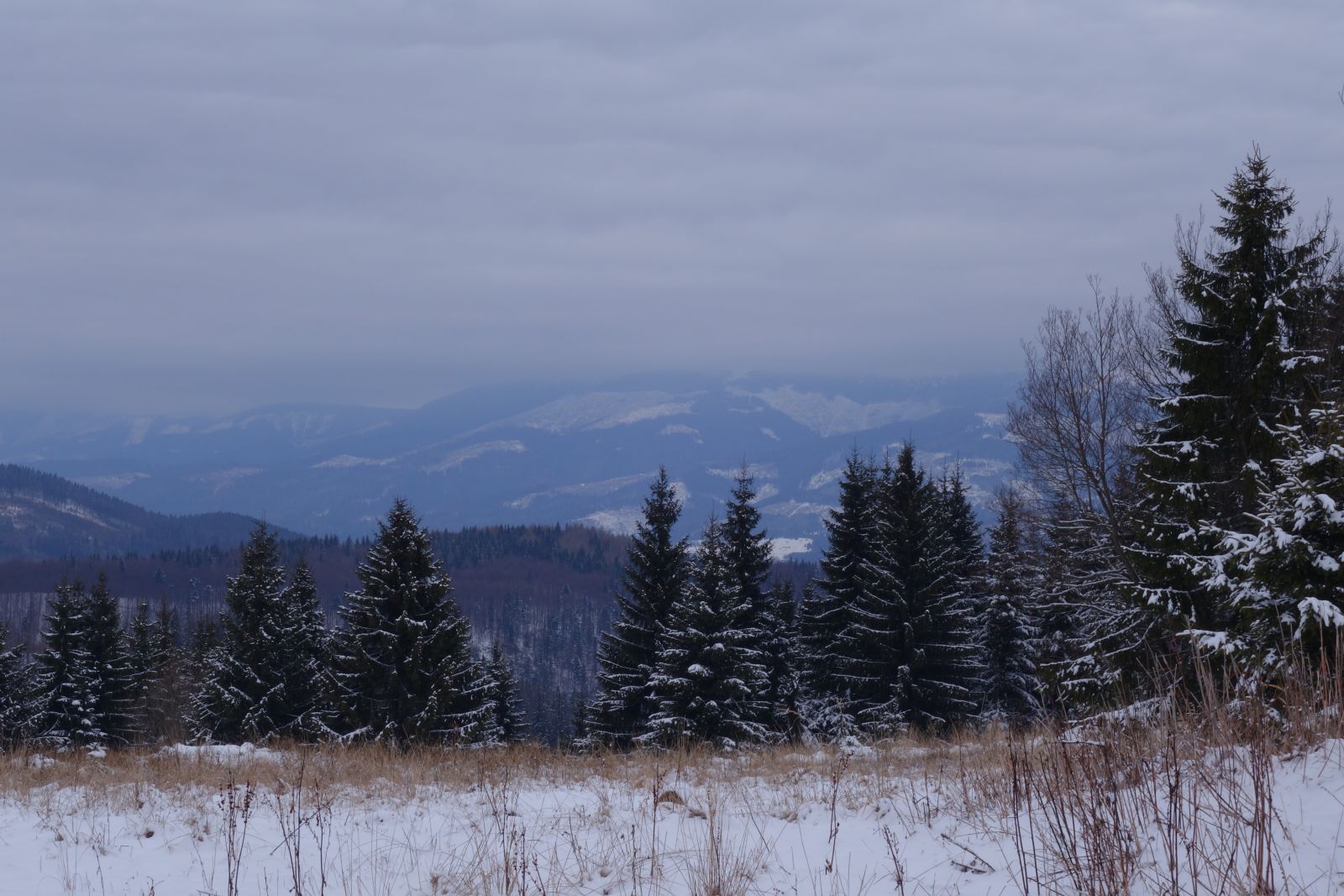 Veterno, na severe aj so snežením