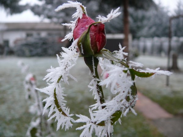 Ochladí sa budúci týždeň?