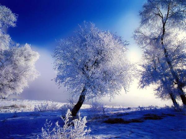 Aká bude zimná sezóna 2011/2012 ?