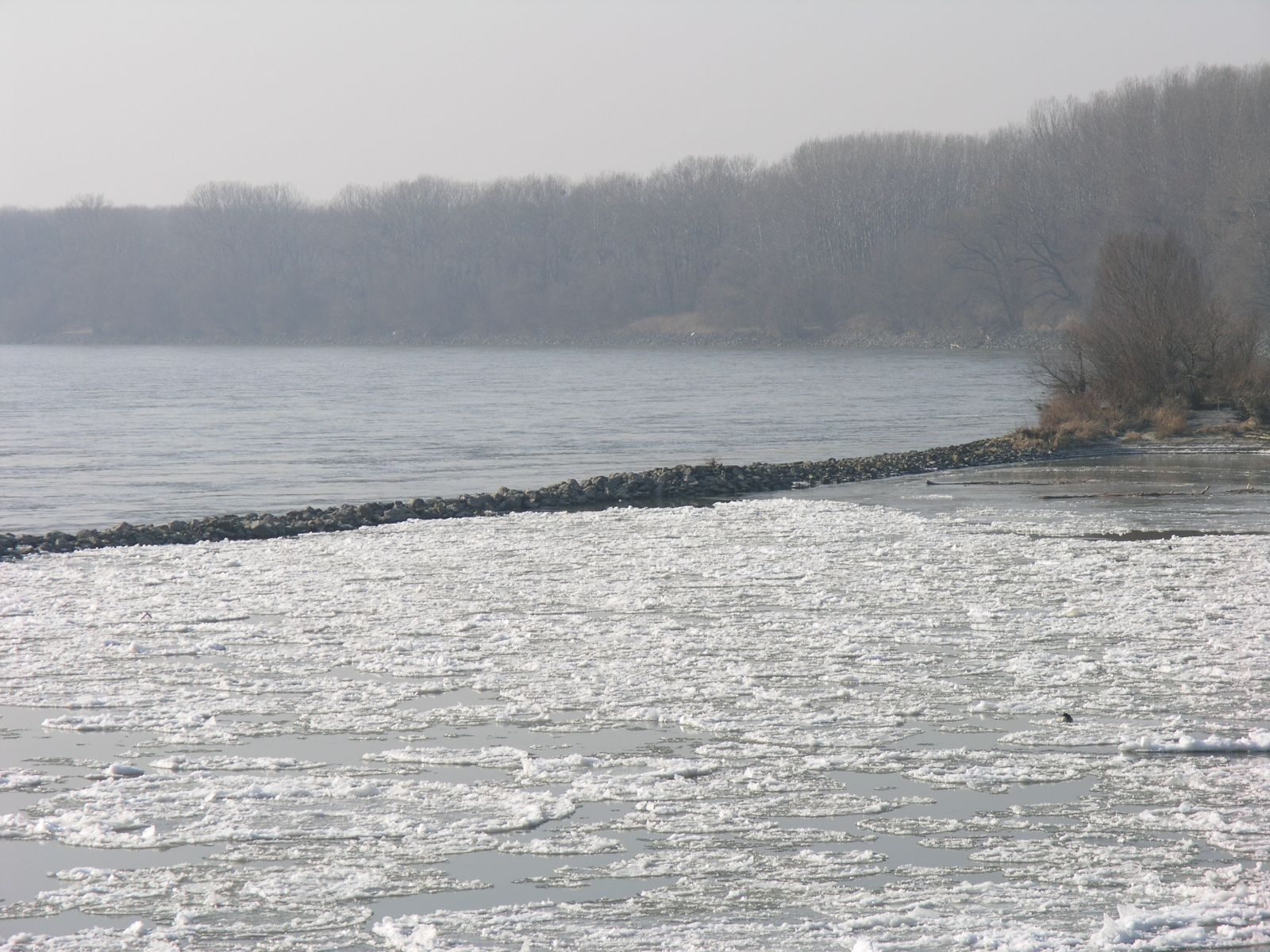 Zimný sútok Dunaja a Moravy 