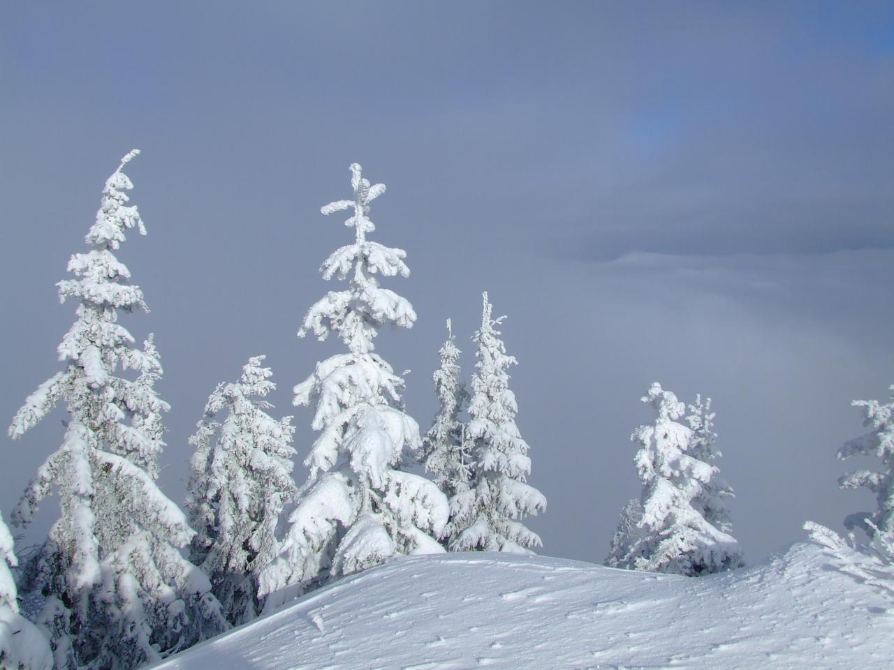 Na Troch kráľov k nám zavíta pravá arktická zima