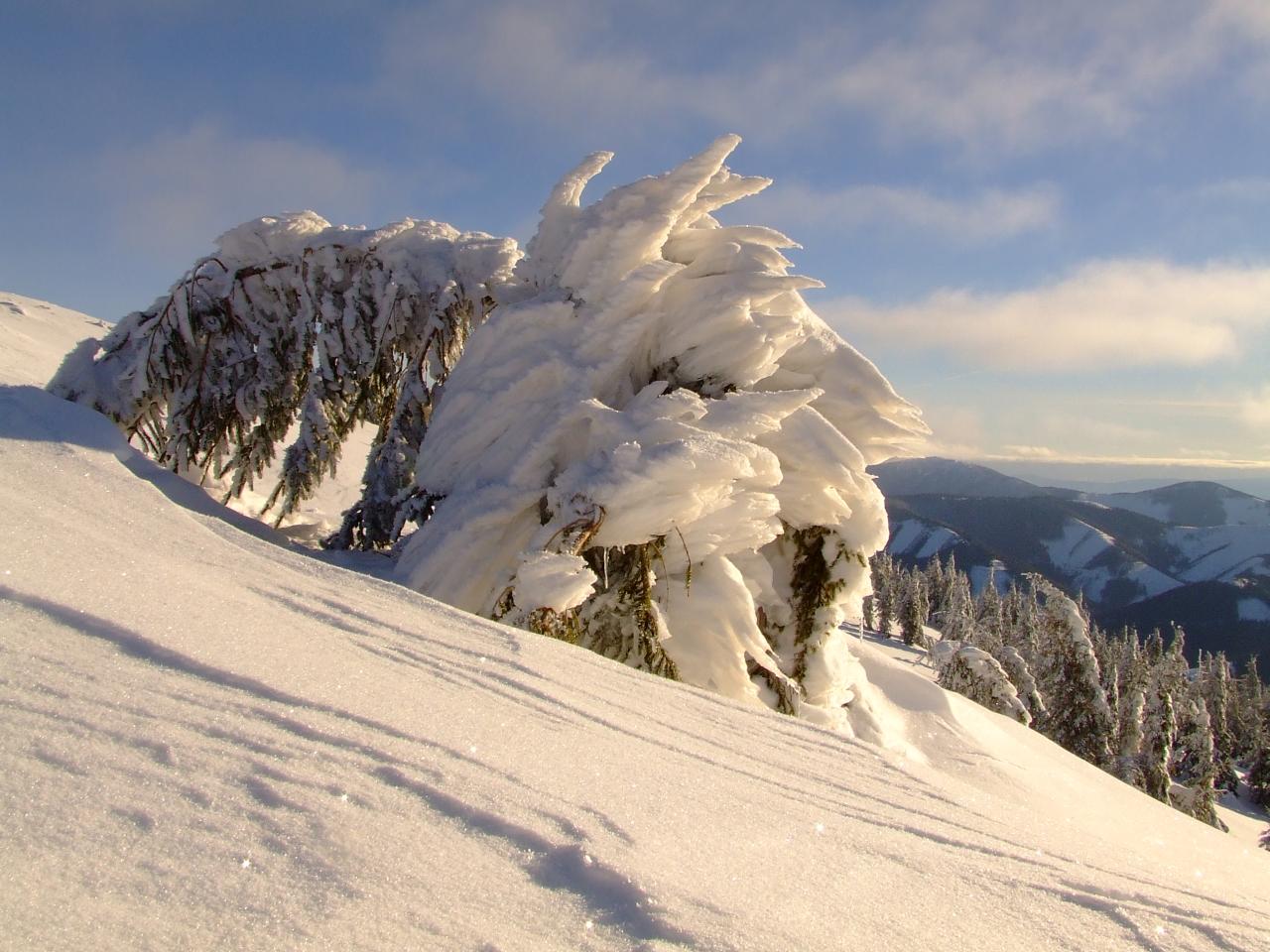 Výhľad počasia na február 2013