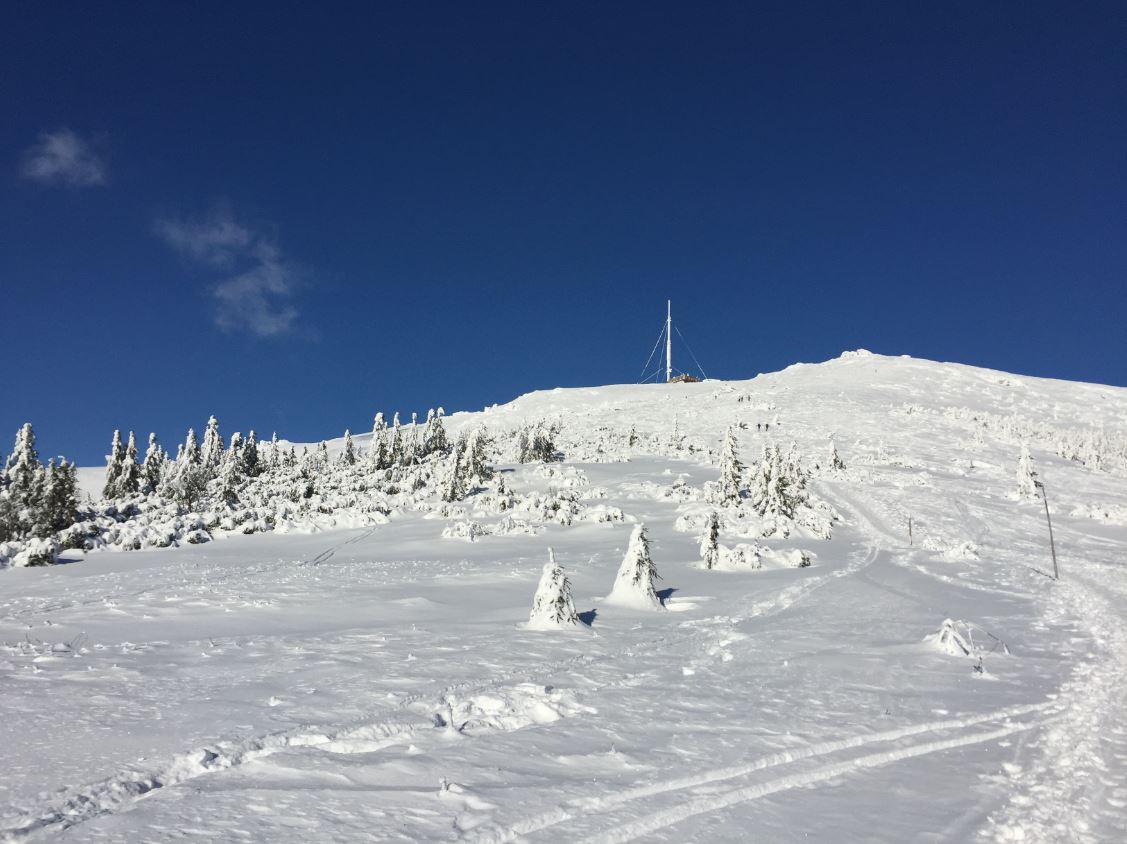 Expedičné meranie snehovej pokrývky v Kráľovohoľských Tatrách 11. 01. 2021