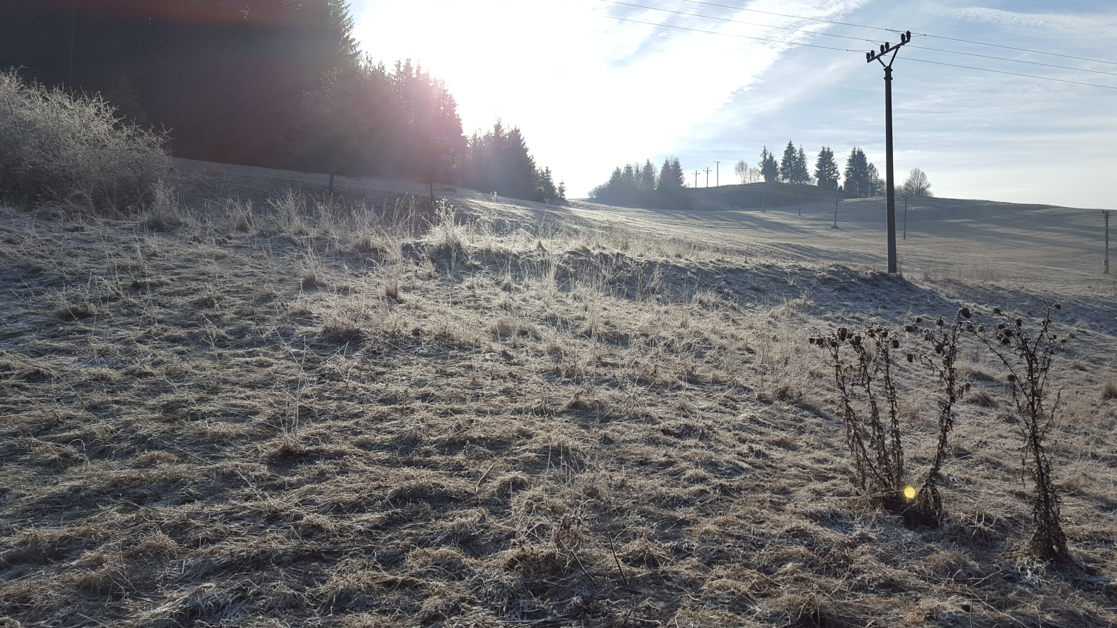 Ranné mrazy aj v nížinách!