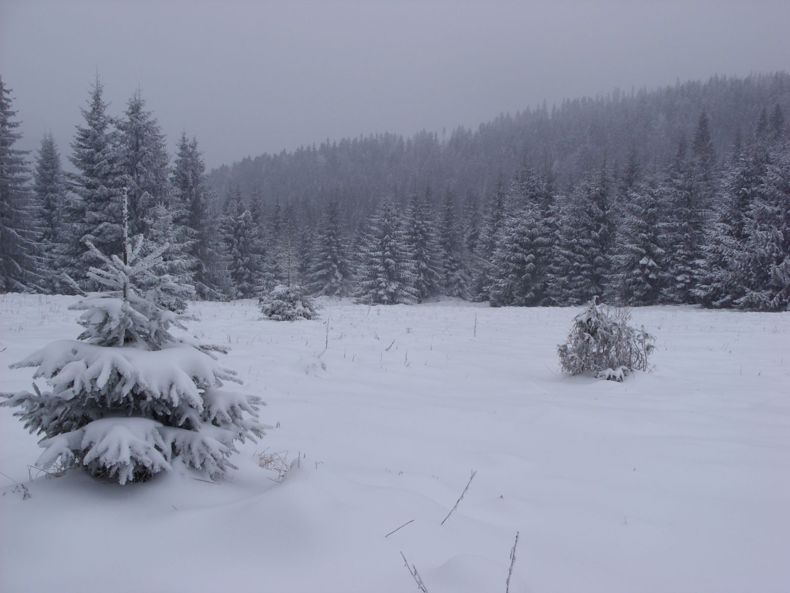 Ochladenie na prelome druhej a tretej novembrovej dekády