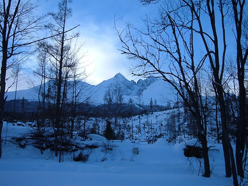 Vianoce v nižších polohách takmer bez snehu