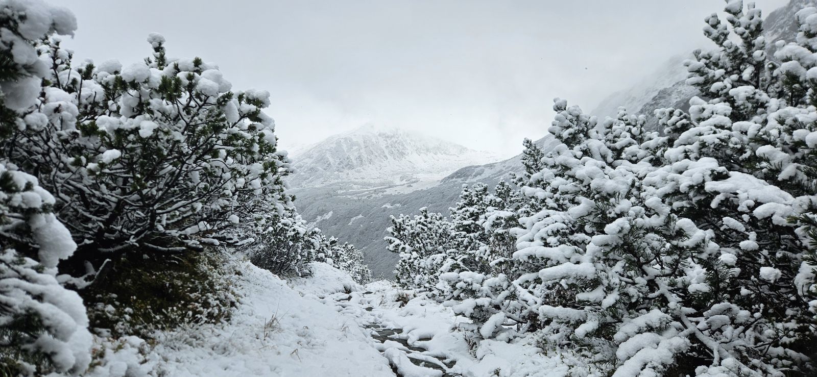 Dôsledky výrazného ochladenia na Slovensku v prvej pentáde októbra 2025