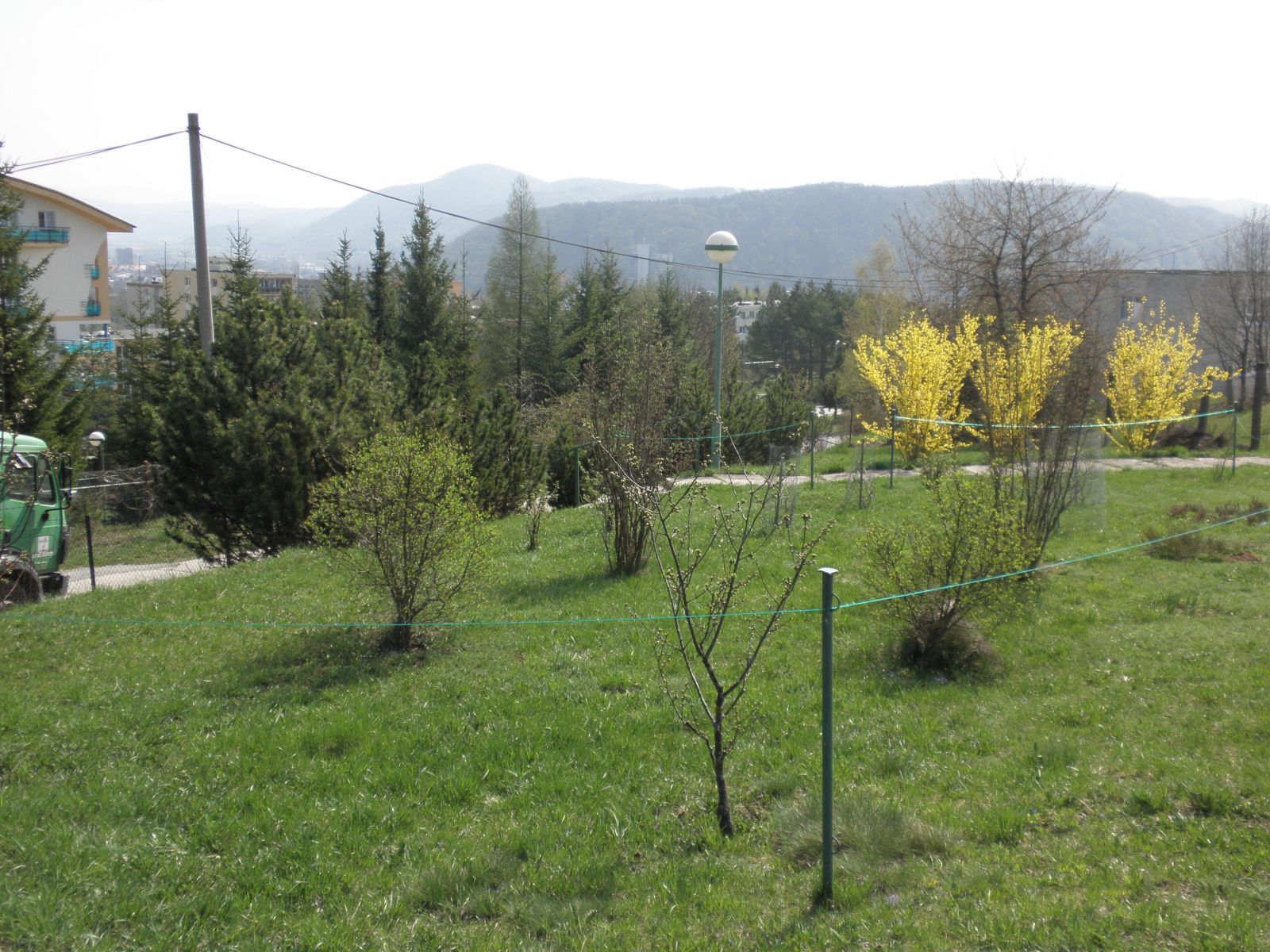 Začlenenie medzinárodnej fenologickej stanice Global Phenological Monitoring (GPM) v Banskej Bystrici do medzinárodnej fenologickej siete International Phenological Garden (IPG)
