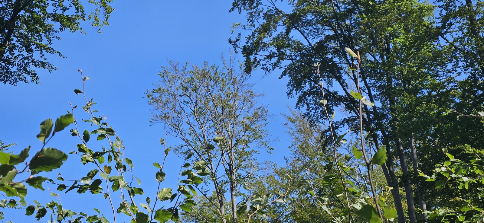 Zhodnotenie sucha v roku 2023