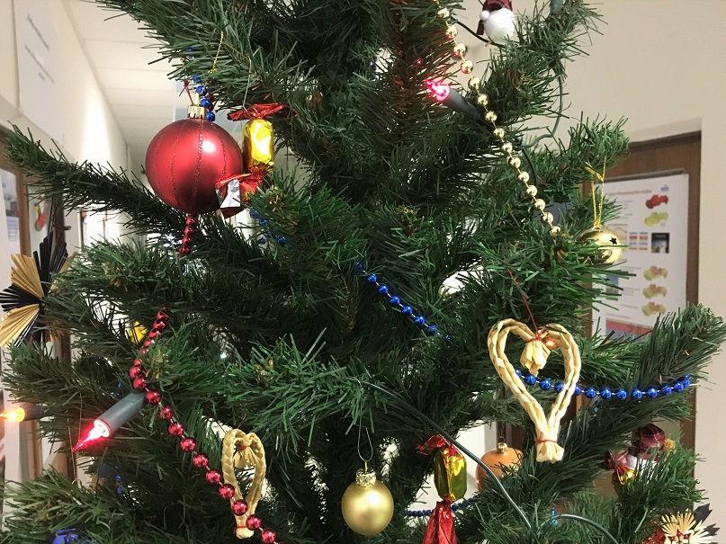 Počas Vianoc sneženie väčšinou len na horách a postupne oteplenie