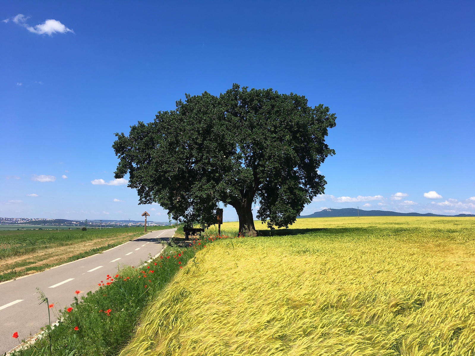 Skončená vlna horúčav dosiahla až na celoštátny augustový extrém