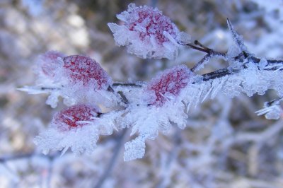 Pozvánka na prednáškové popoludnie 24.1.2019