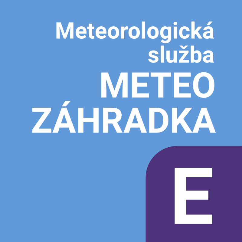 PLAGATY1250_2024%20DOD13